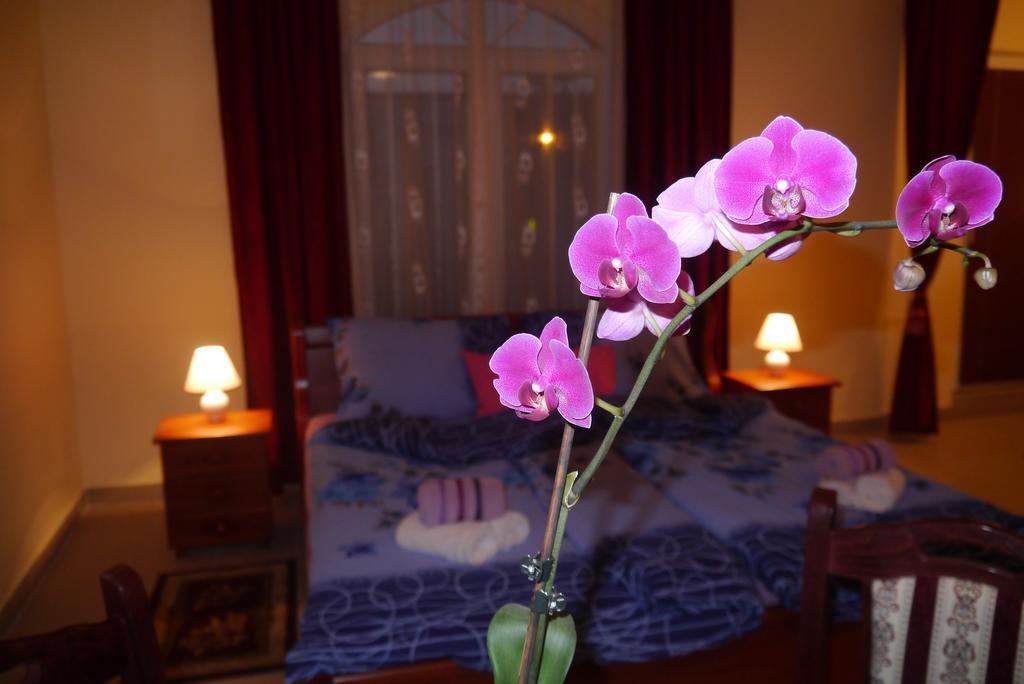 Guest House Villa Lord Novi Sad Bagian luar foto